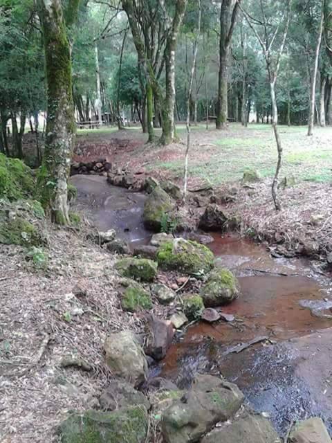 Camping Caitano Hotel Campo Grande  Luaran gambar