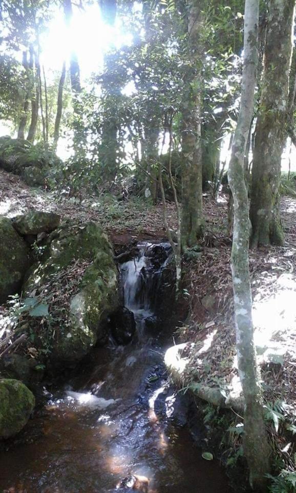 Camping Caitano Hotel Campo Grande  Luaran gambar